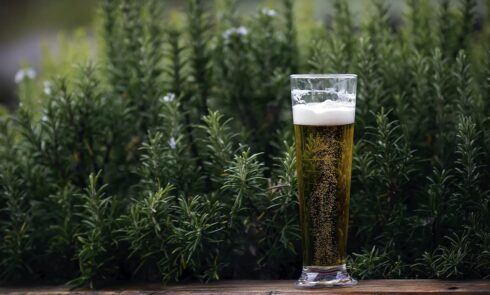 beer